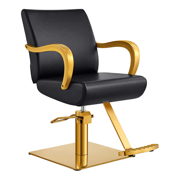 DIR Meteor Gold Salon Styling Chair