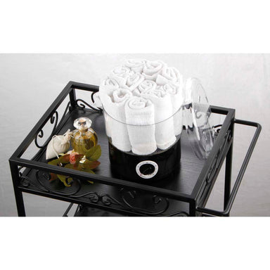 Dir towel steamer for spas and salons