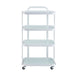 Professional DIR spa trolley cart with three-tier storage and smooth-rolling casters.