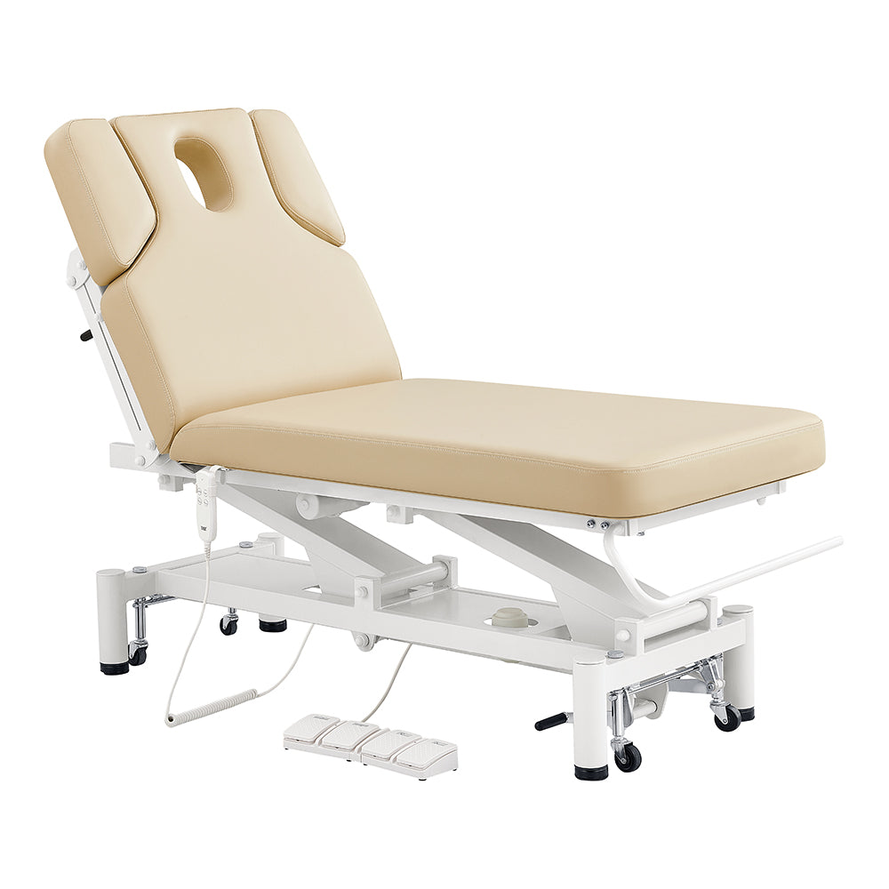 DIR VitalEarth 2-Motors Treatment Table and Wellness Therapy Bed
