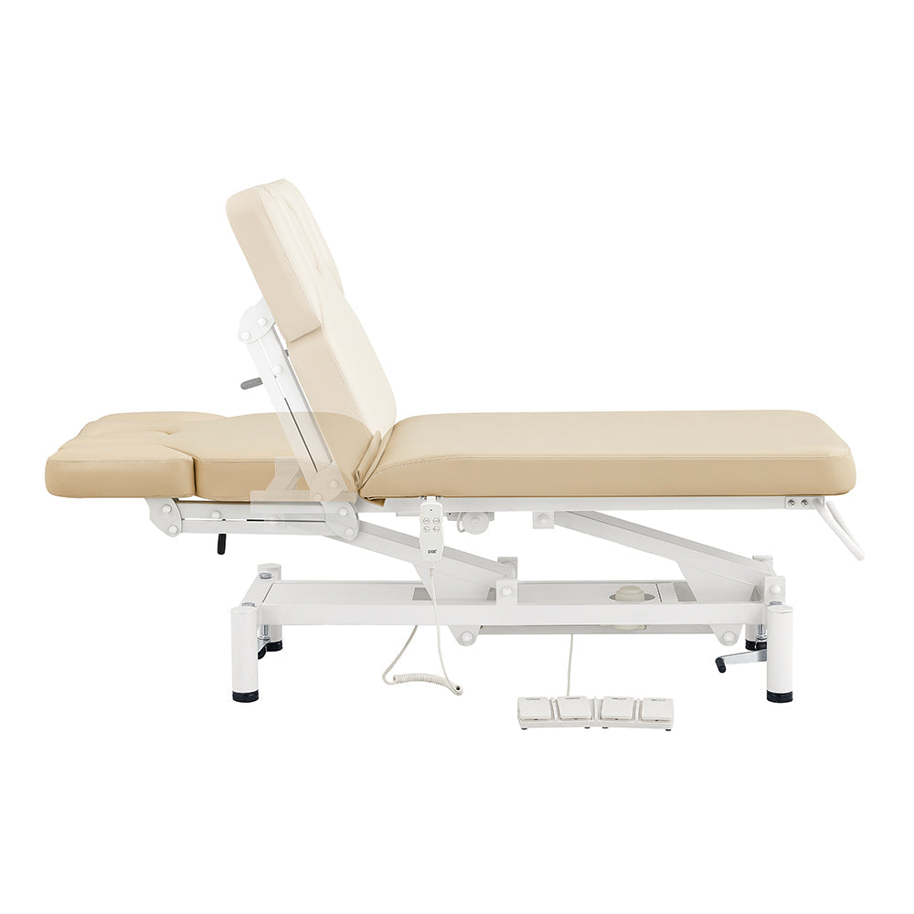 DIR VitalEarth 2-Motors Treatment Table and Wellness Therapy Bed