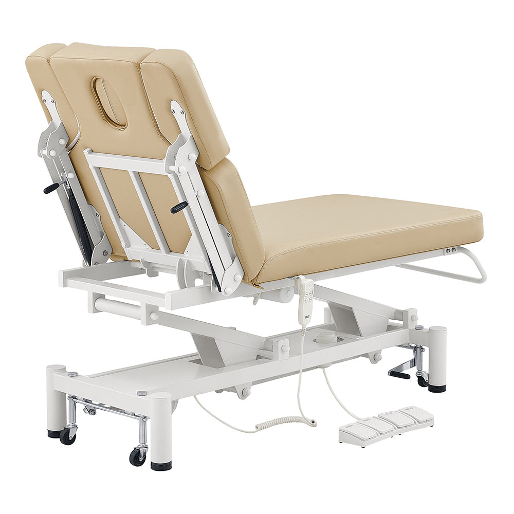 DIR VitalEarth 2-Motors Treatment Table and Wellness Therapy Bed