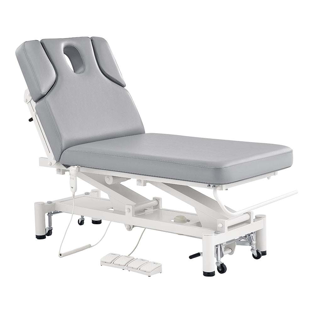 DIR VitalEarth 2-Motors Treatment Table and Wellness Therapy Bed