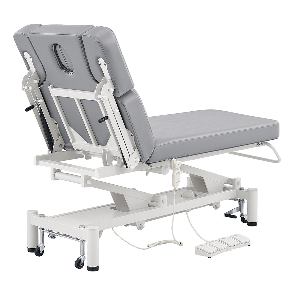 DIR VitalEarth 2-Motors Treatment Table and Wellness Therapy Bed