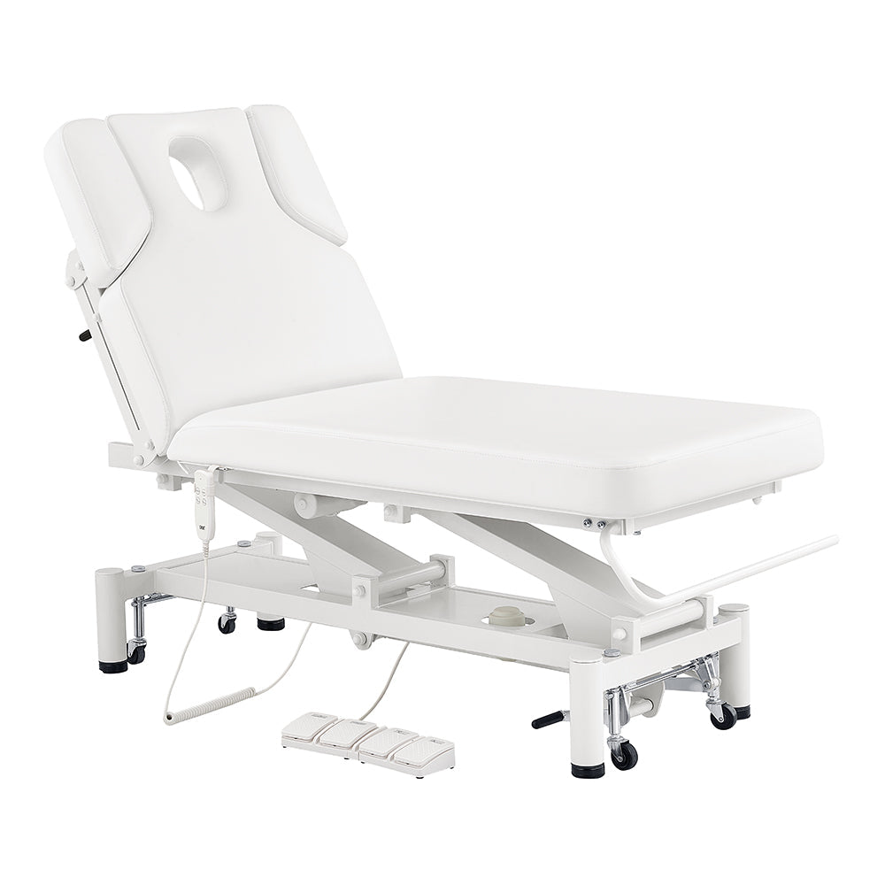 DIR VitalEarth 2-Motors Treatment Table and Wellness Therapy Bed