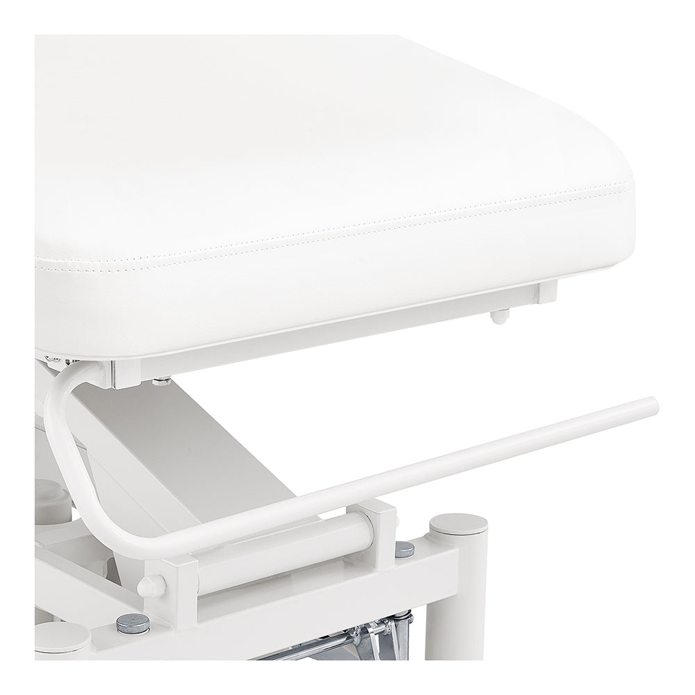 DIR VitalEarth 2-Motors Treatment Table and Wellness Therapy Bed