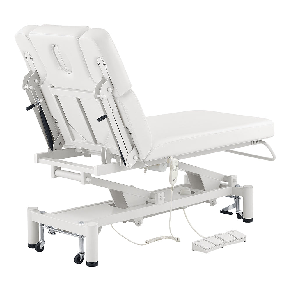 DIR VitalEarth 2-Motors Treatment Table and Wellness Therapy Bed