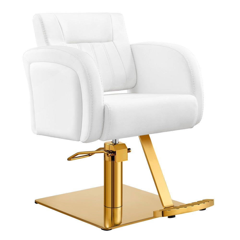 DIR Anodic Salon Styling Chairs