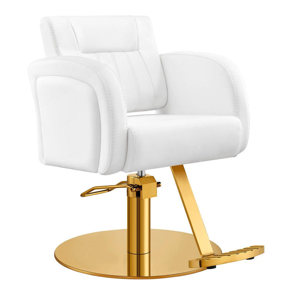 DIR Anodic Salon Styling Chairs