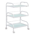 DIR Damien Medical Spa Trolley Cart