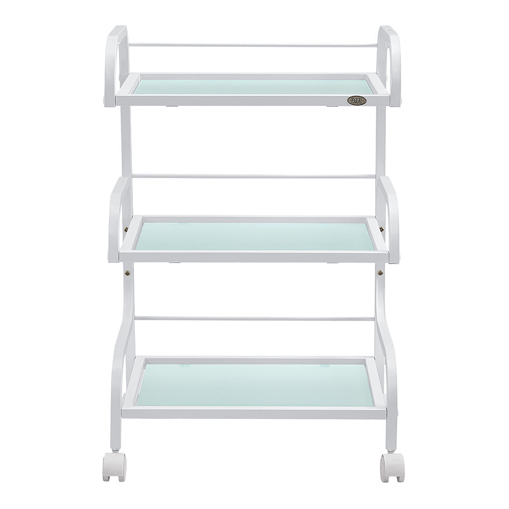 DIR Damien Medical Spa Trolley Cart
