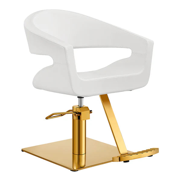 DIR Gama Beauty Salon Chairs