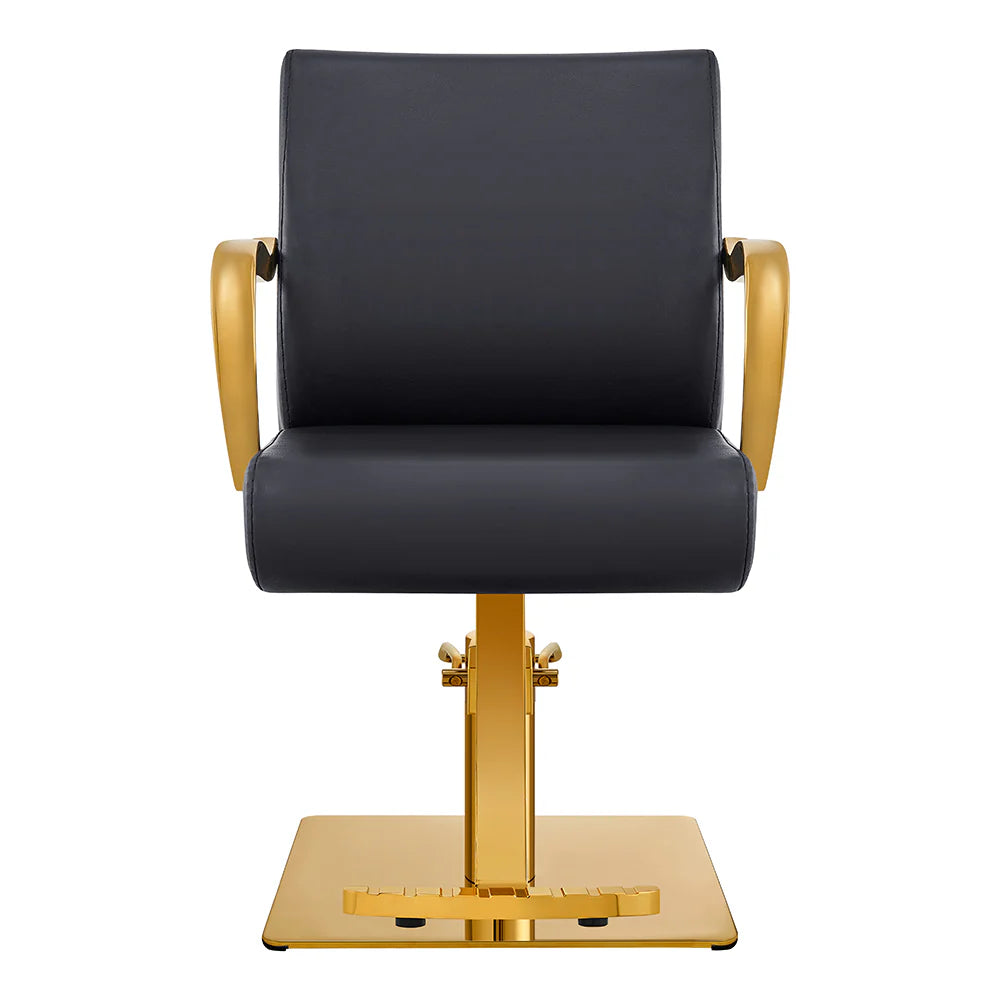 DIR Meteor Gold Salon Styling Chair