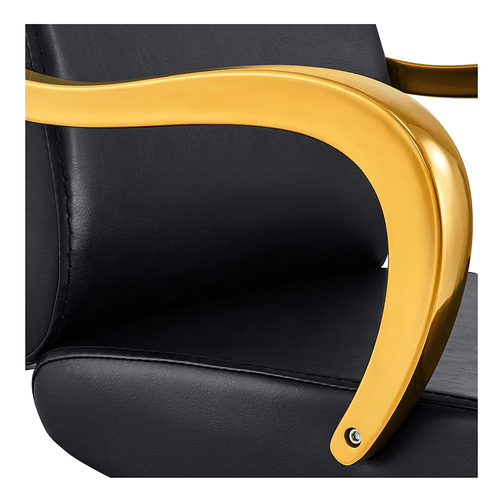 DIR Meteor Gold Salon Styling Chair