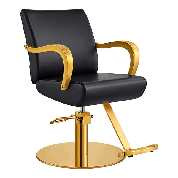 DIR Meteor Gold Salon Styling Chair