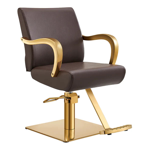 DIR Meteor Gold Salon Styling Chair