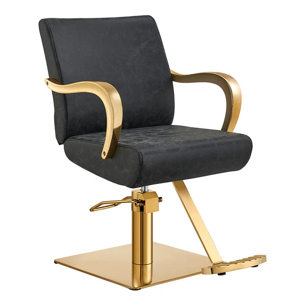 DIR Meteor Gold Salon Styling Chair