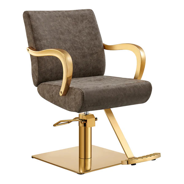 DIR Meteor Gold Salon Styling Chair