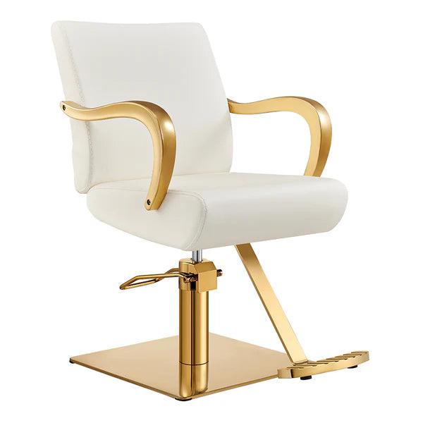 DIR Meteor Gold Salon Styling Chair