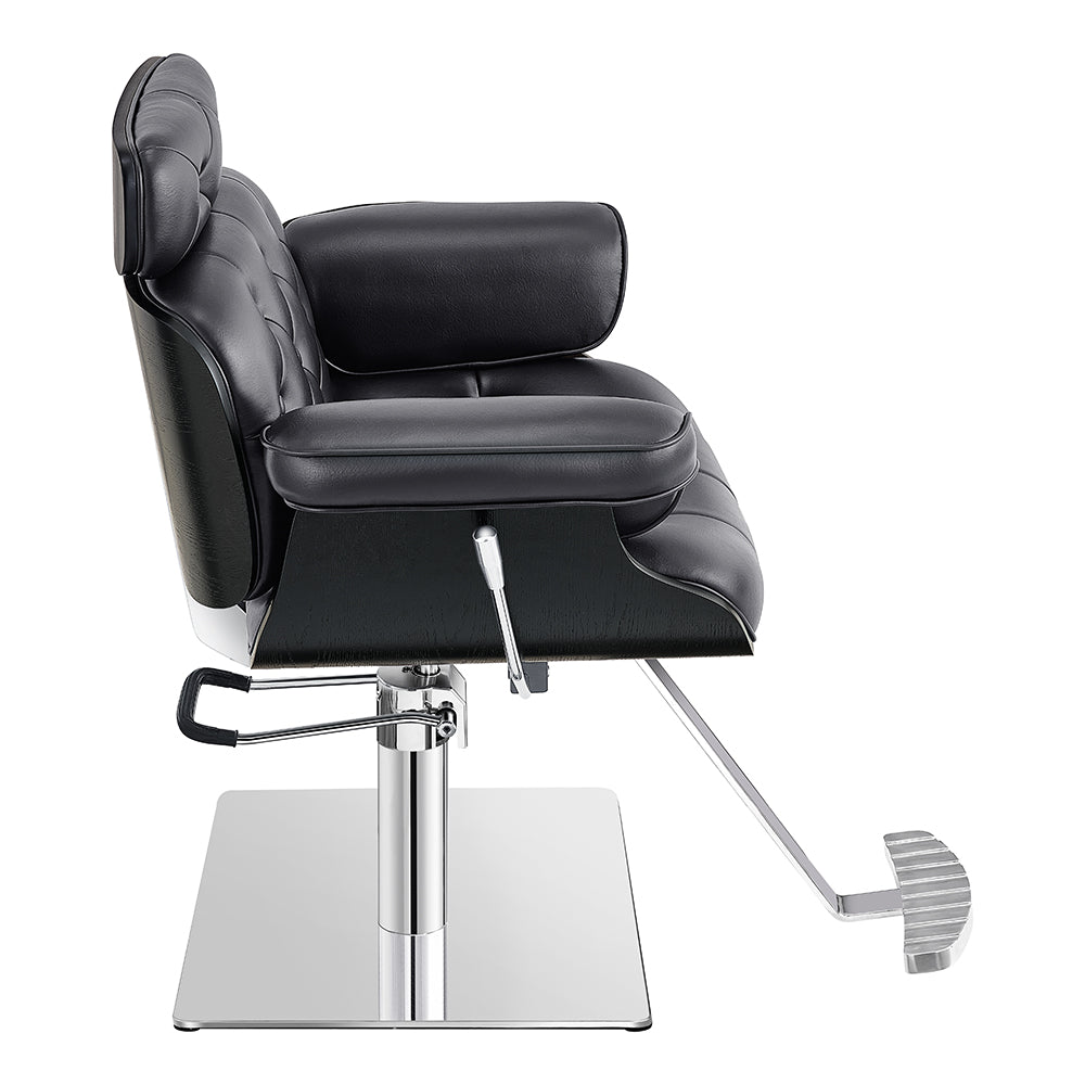 DIR Planet All Purpose Salon Chair