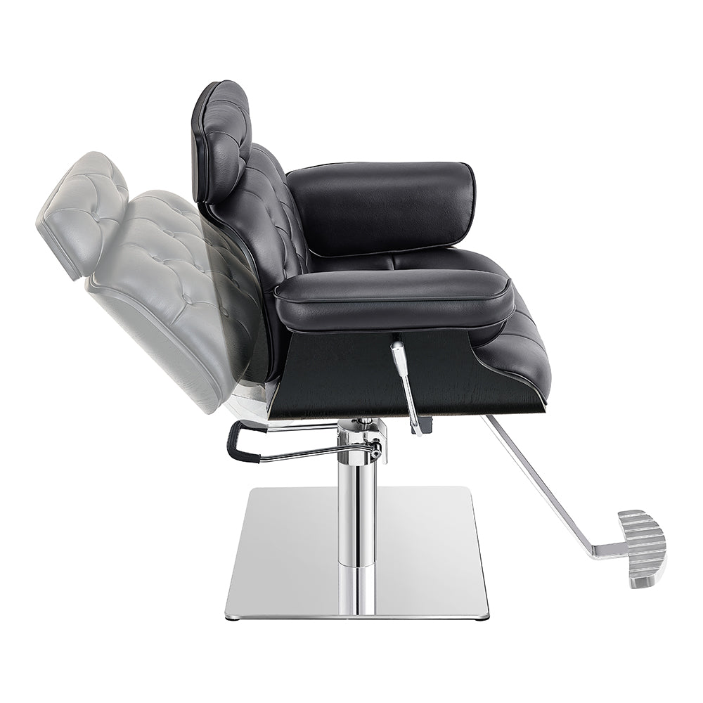 DIR Planet All Purpose Salon Chair