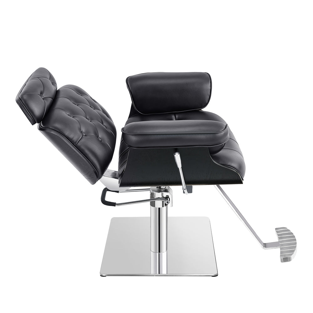 DIR Planet All Purpose Salon Chair
