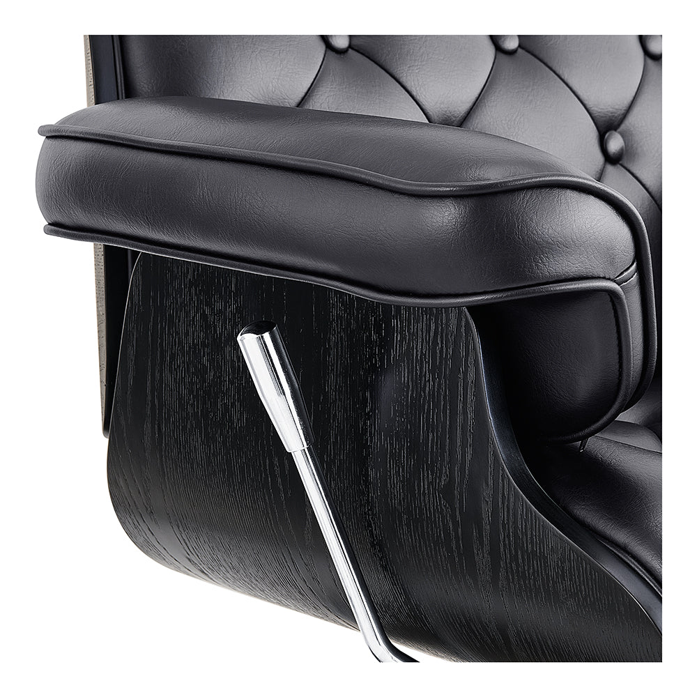 DIR Planet All Purpose Salon Chair