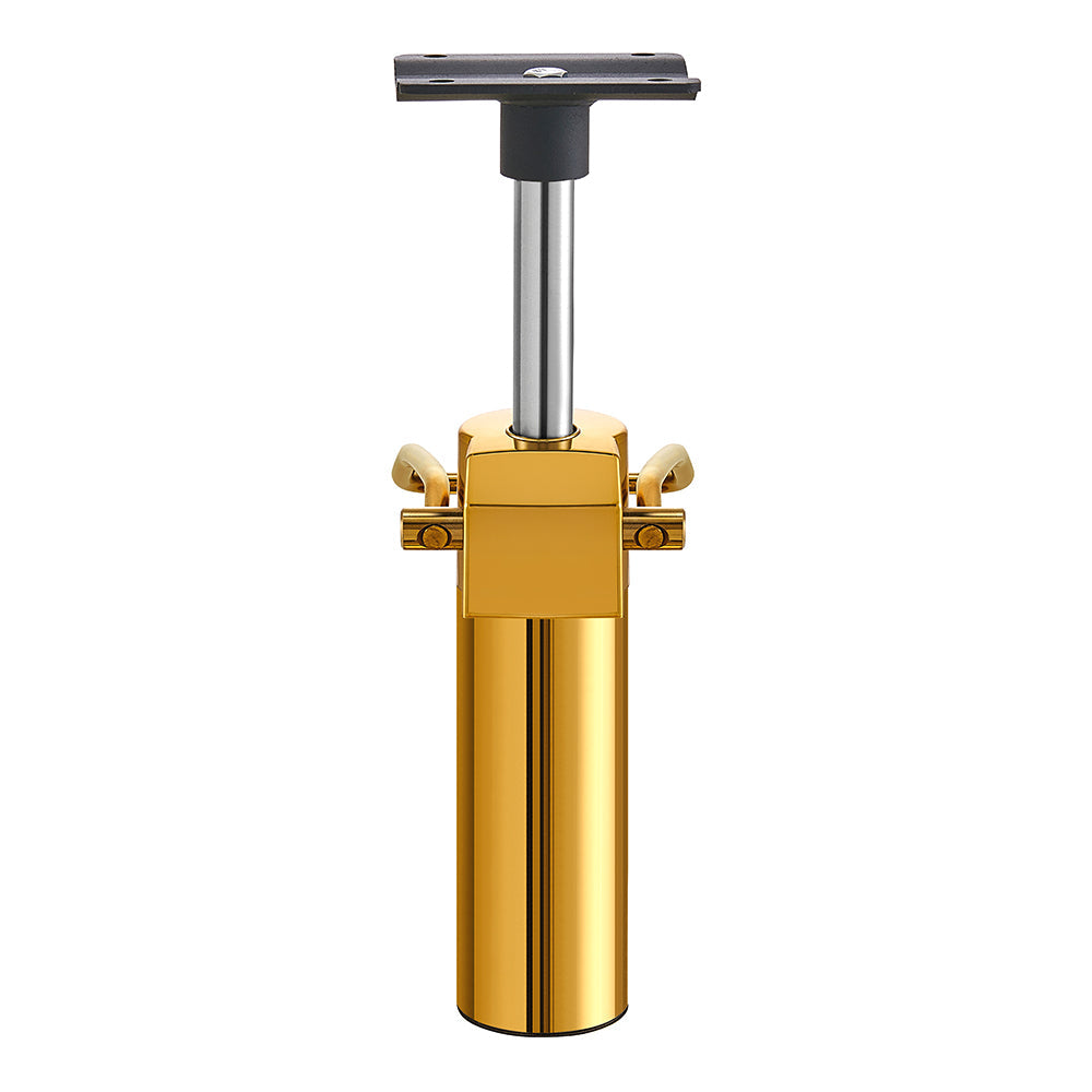 DIR Hydraulic Pump for Salon Chair - Gold