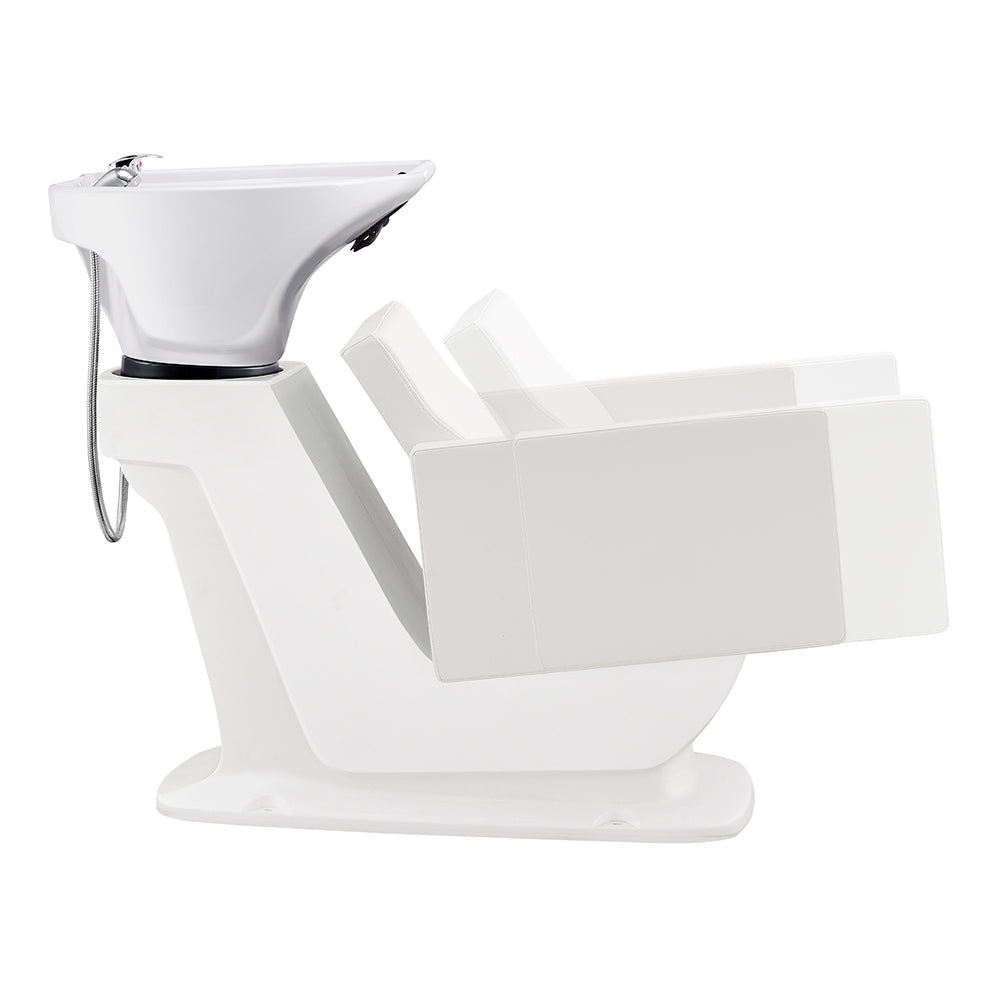 DIR Takaran Adjustable Shampoo Backwash Unit