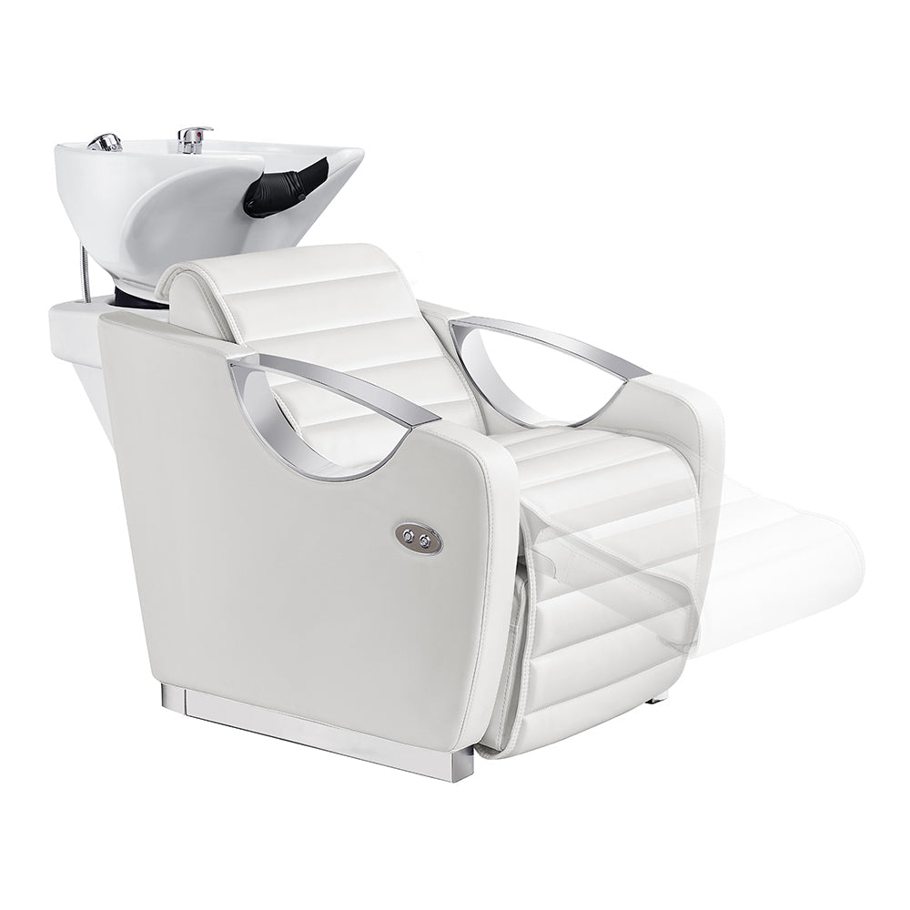 DIR Victoria Electric Shampoo Backwash Unit