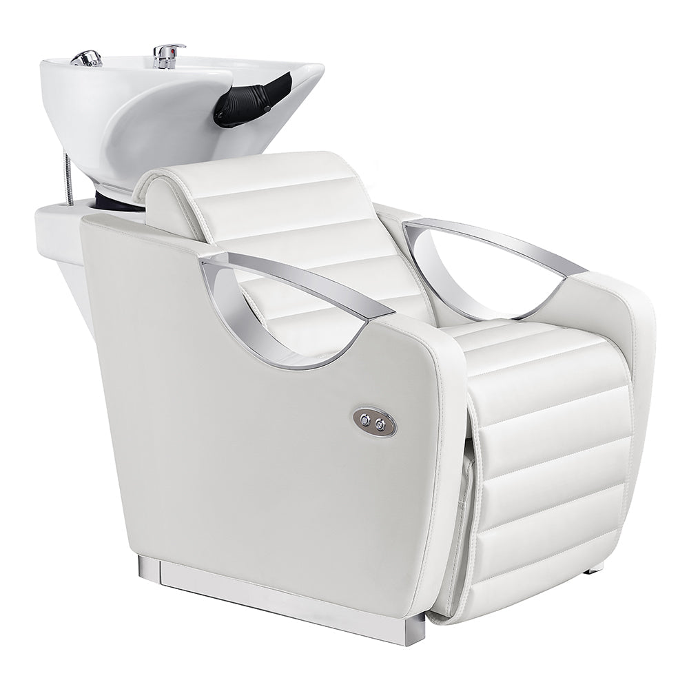 DIR Victoria Electric Shampoo Backwash Unit