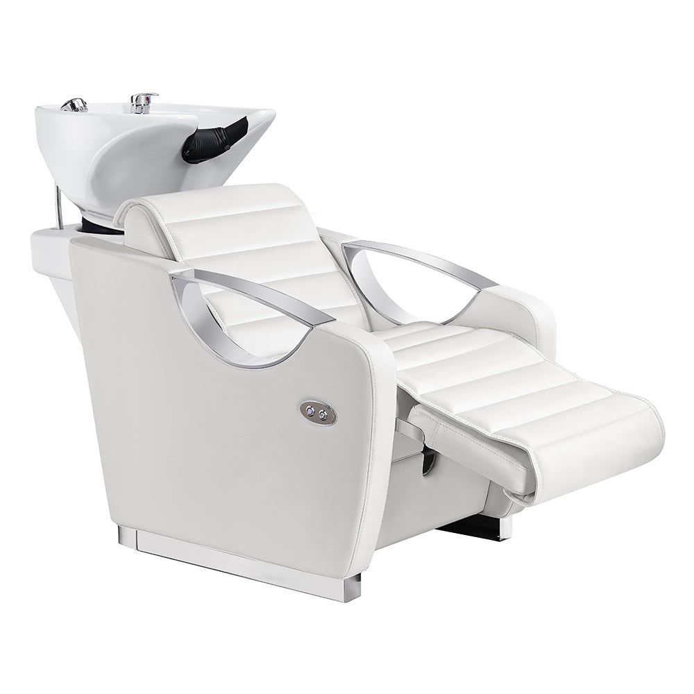 DIR Victoria Electric Shampoo Backwash Unit