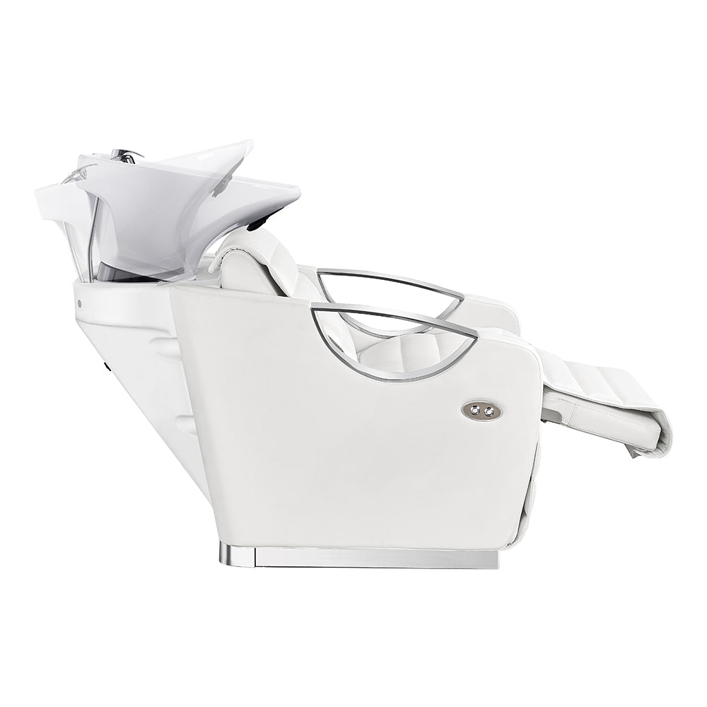 DIR Victoria Electric Shampoo Backwash Unit