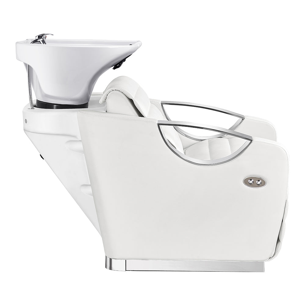 DIR Victoria Electric Shampoo Backwash Unit