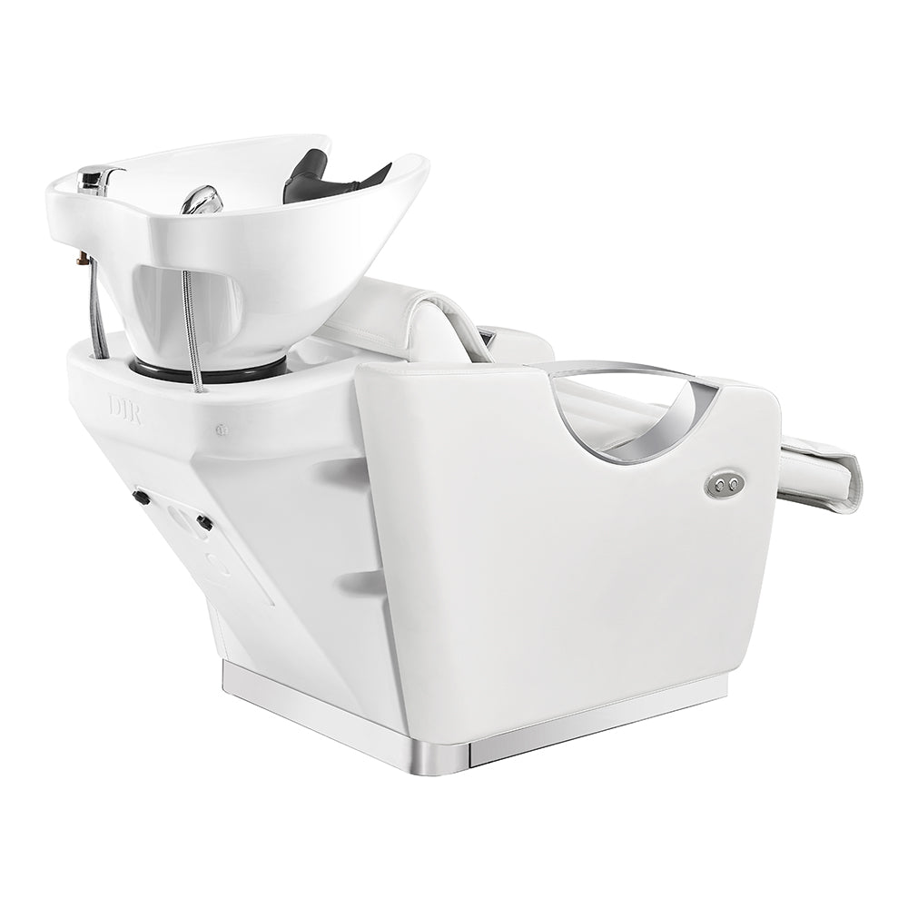 DIR Victoria Electric Shampoo Backwash Unit