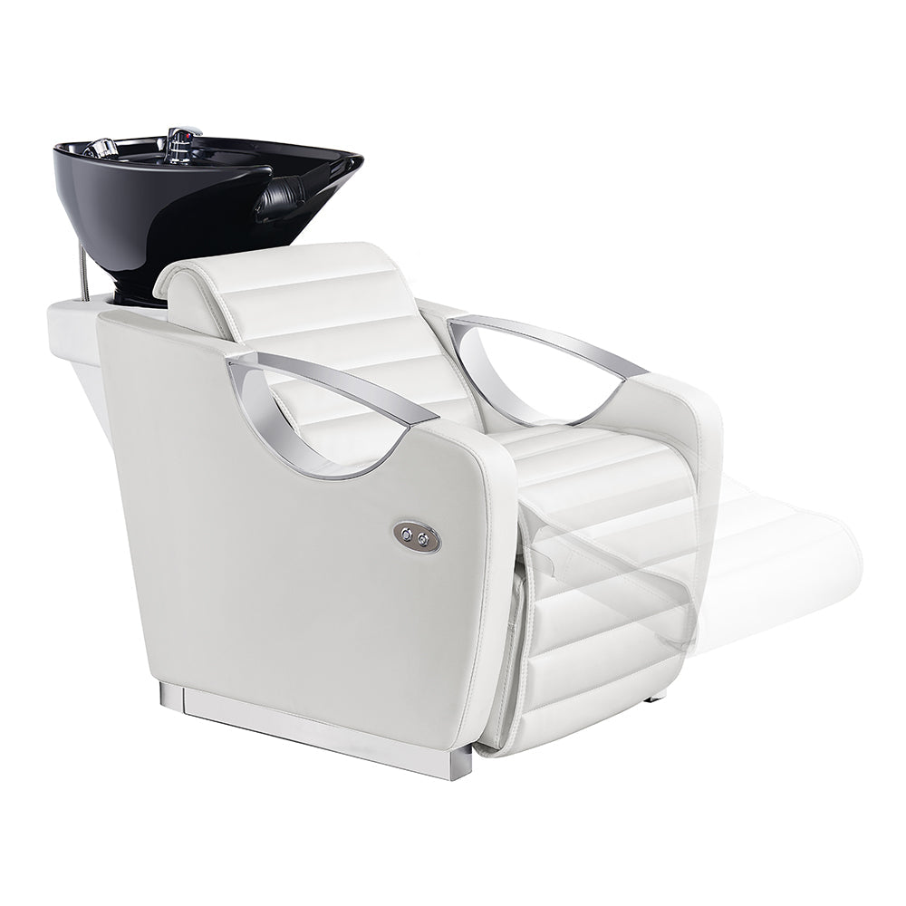 DIR Victoria Electric Shampoo Backwash Unit