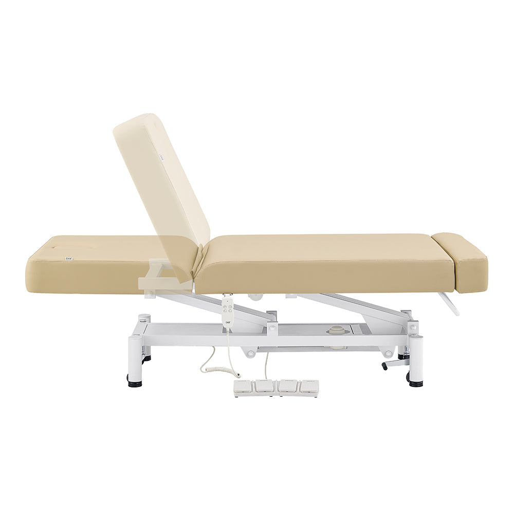 DIR WellRelax 2-Motors Therapy Treatment Table with Tilting Cradle Pillow
