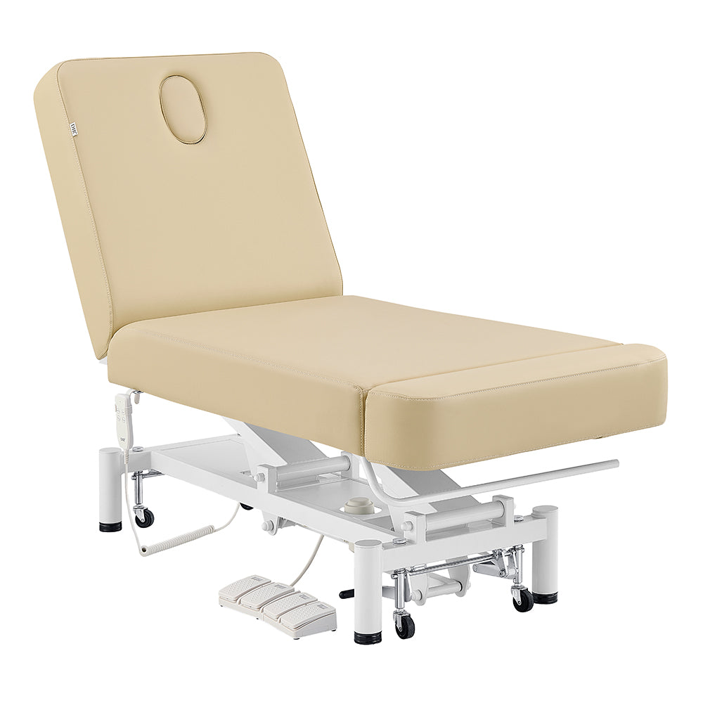 DIR WellRelax 2-Motors Therapy Treatment Table with Tilting Cradle Pillow