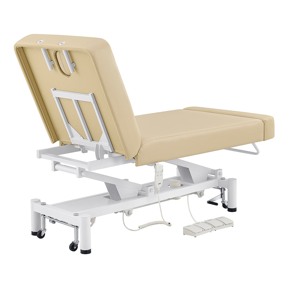 DIR WellRelax 2-Motors Therapy Treatment Table with Tilting Cradle Pillow