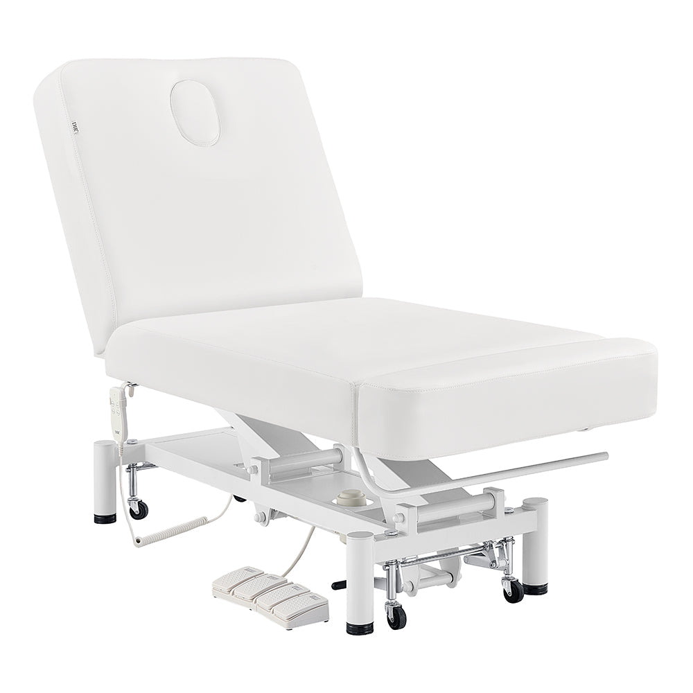 DIR WellRelax 2-Motors Therapy Treatment Table with Tilting Cradle Pillow