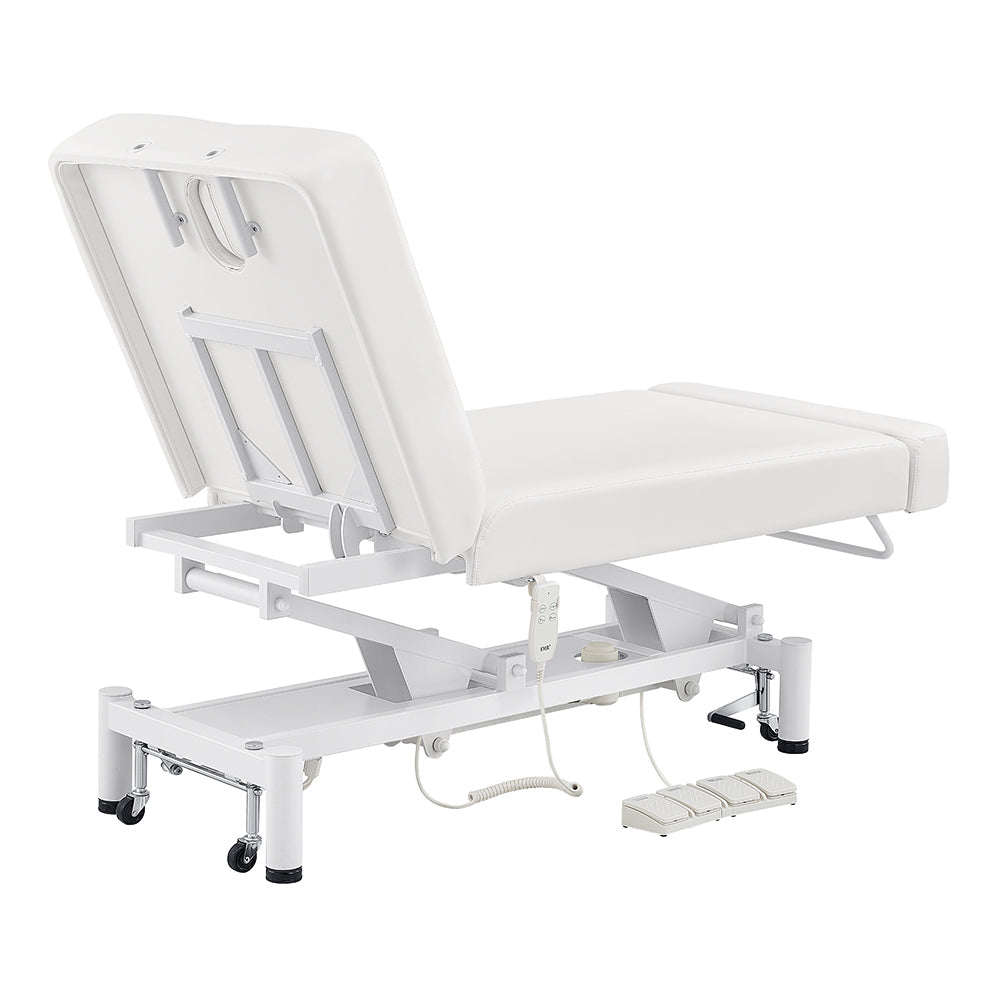 DIR WellRelax 2-Motors Therapy Treatment Table with Tilting Cradle Pillow